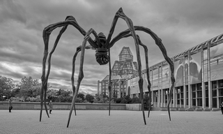 Ottawa   |   15  /  42    |